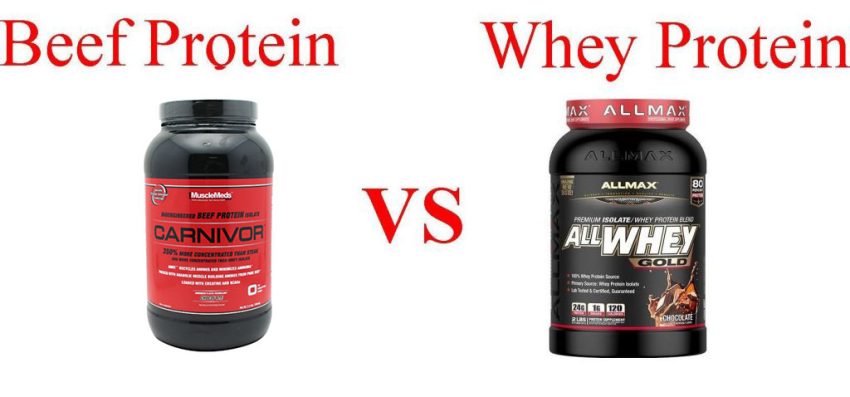 Meat Protein vs. Whey Protein: Which one is better?